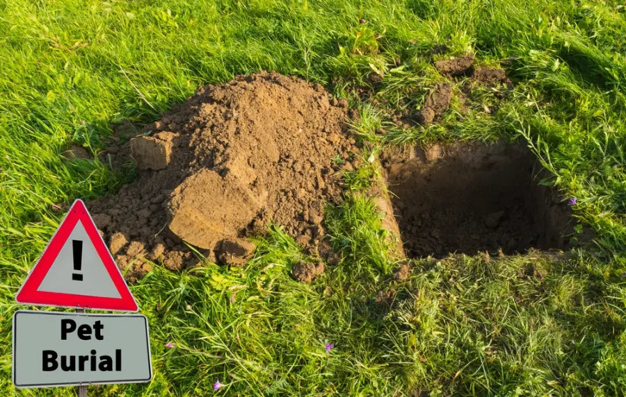 green ground with pet burial sign on it