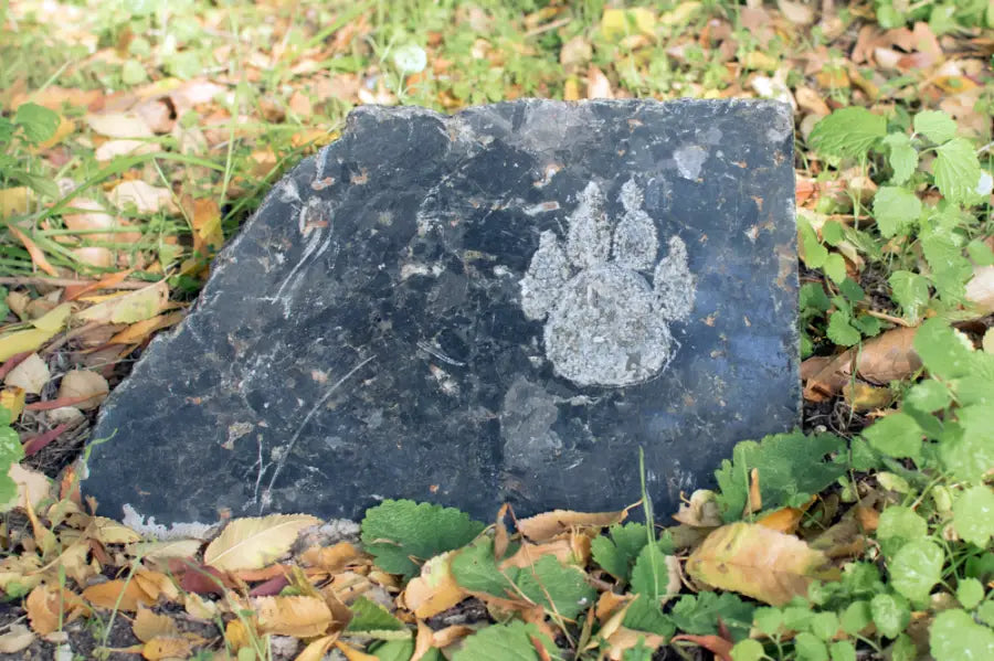 What To Say When Someone Loses Their Pet?