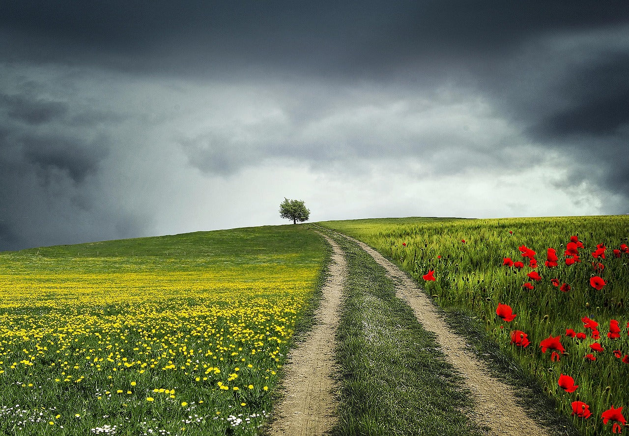 5 Stages Of Grief - Depression