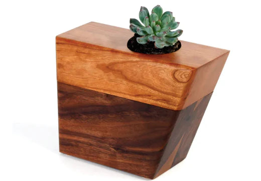 Planning For A Green Funeral