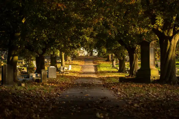 Is Cremation Bad For The Environment?
