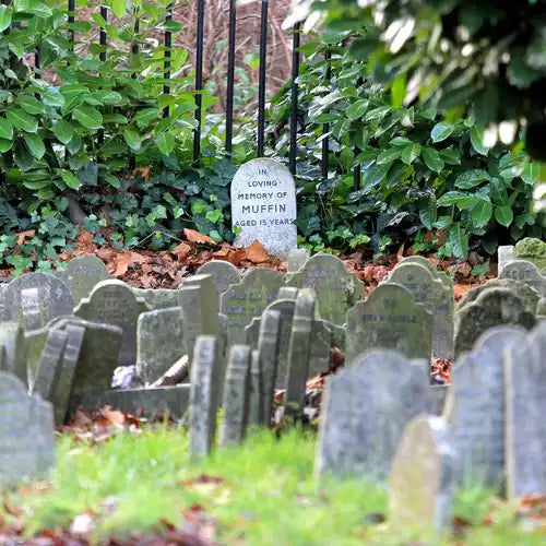 Offering Options For Funeral Locations - Pre Plan Your Funeral