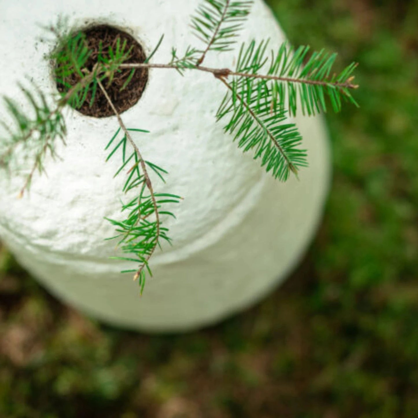 Loop EarthRise™ (Mushroom Urn) | Calm