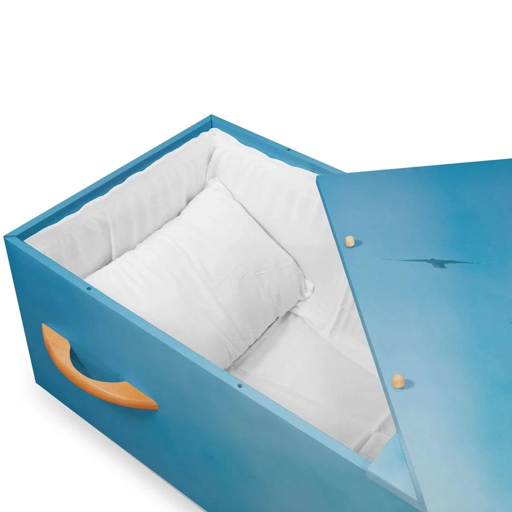 Sky Cremation Container