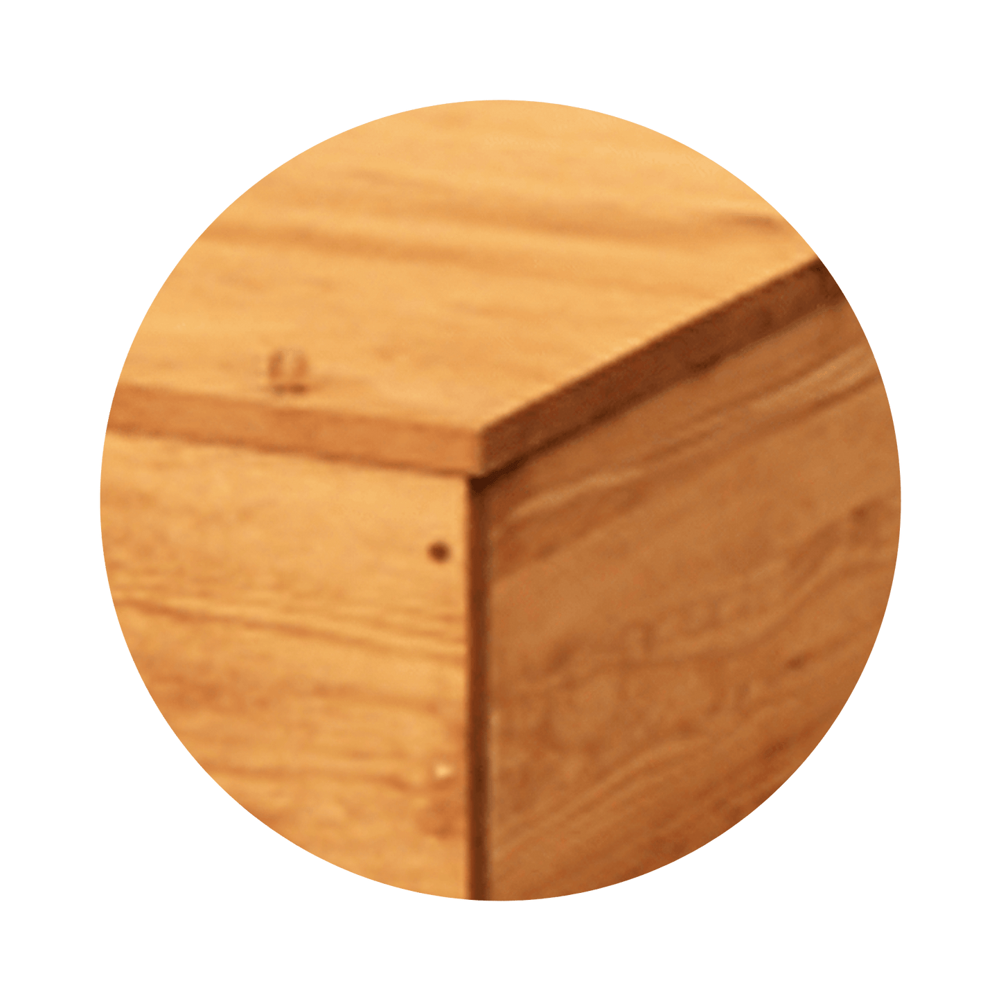 Eco II Pine Box | Pine Casket with Rope Handles