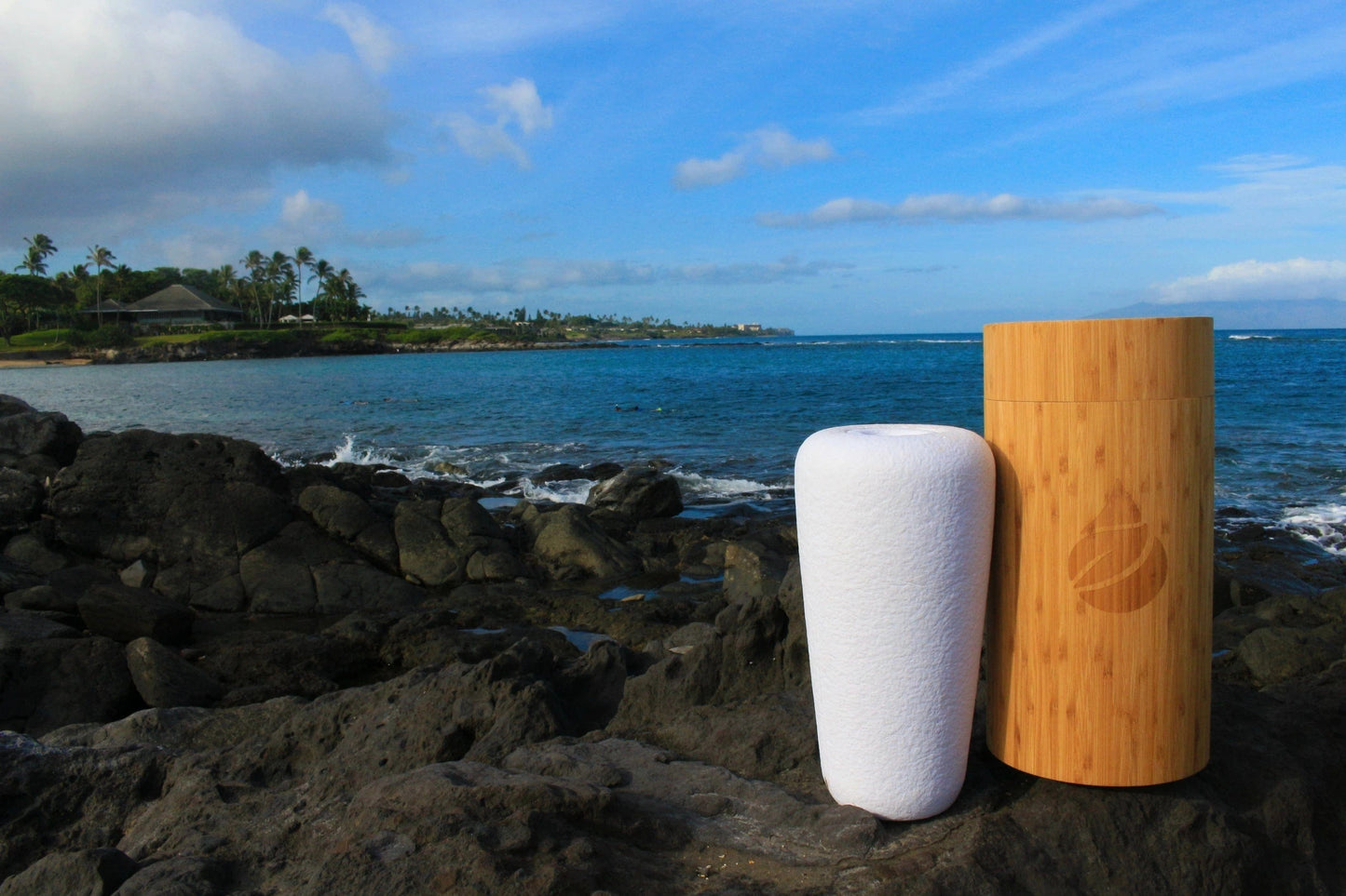 Pet Urn For Water | Eco Water Urn