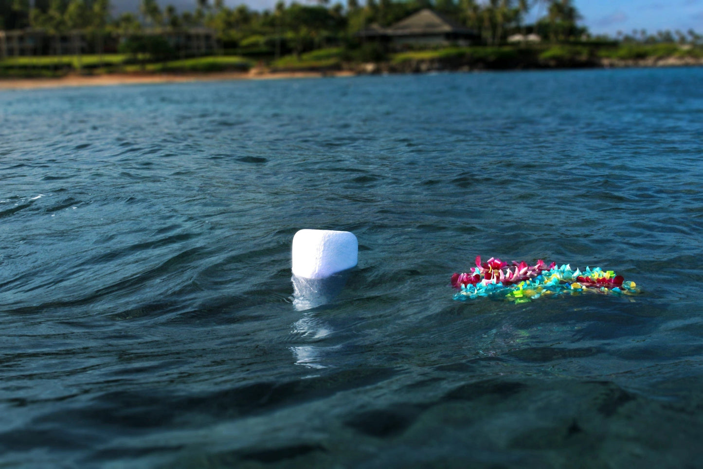 Pet Urn For Water | Eco Water Urn