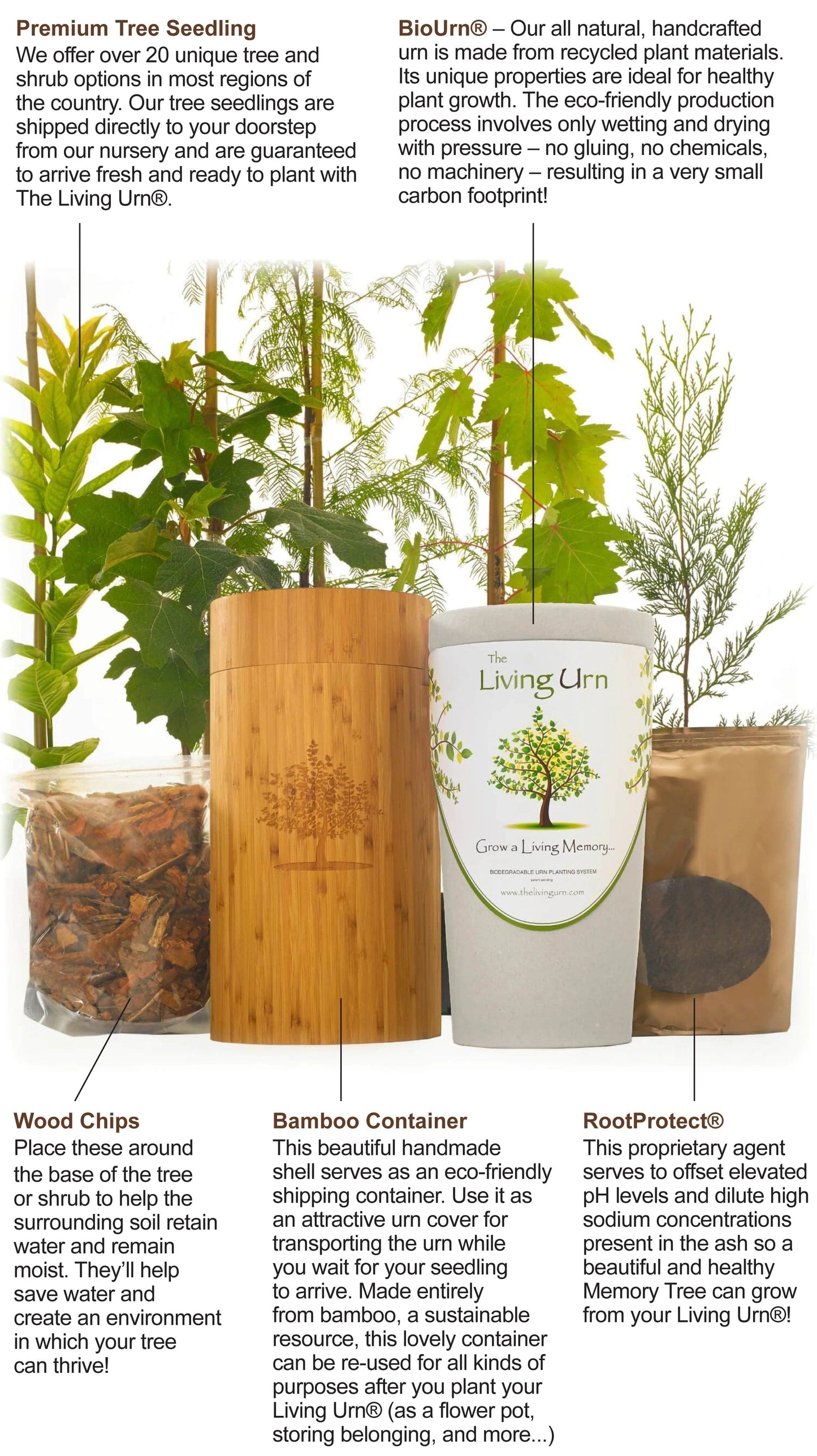 Living Tree Pet Urn | The Living Urn