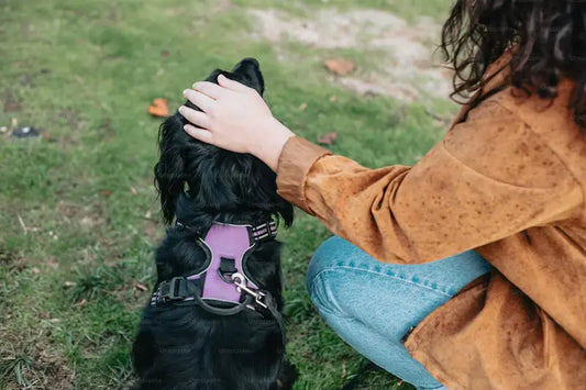 Necklace with Dog Ashes: Honoring Beloved Canine Companions