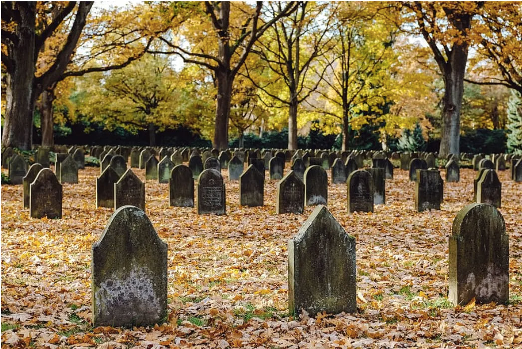 How To Buy A Cemetery Plot?
