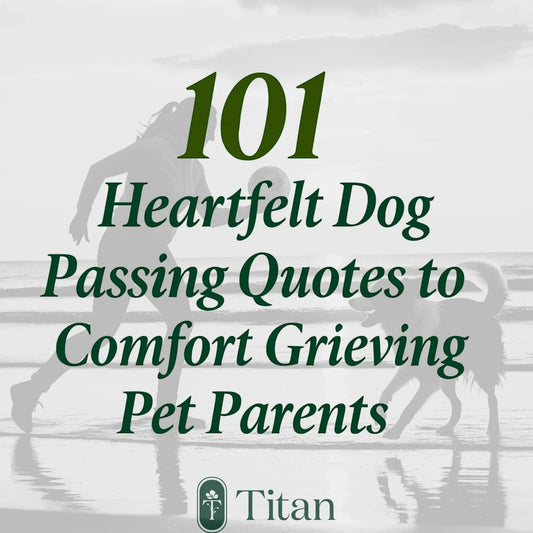101 Heartfelt Dog Passing Quotes to Comfort Grieving Pet Parents