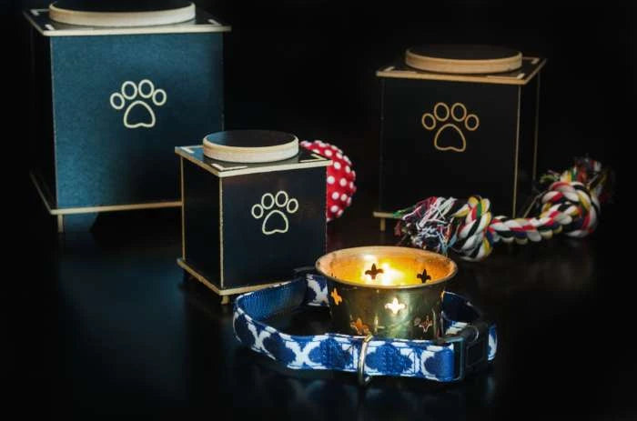 7 Creative Ideas for Pet Ashes After Cremation
