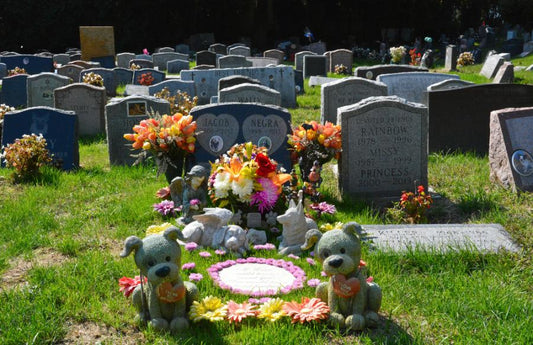 How To Plan A Pet Funeral?