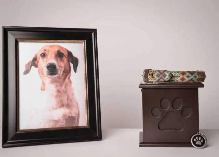 What Size Urn Will You Need For Your Dog?