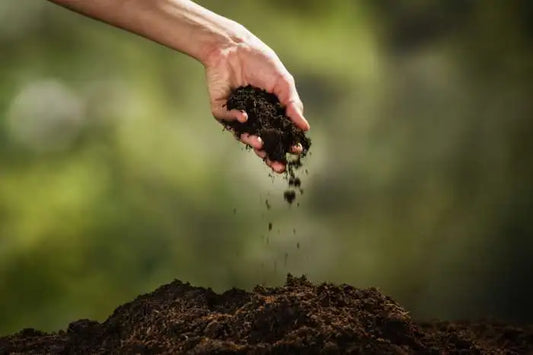 Why Do People Throw Dirt on Caskets During a Burial?