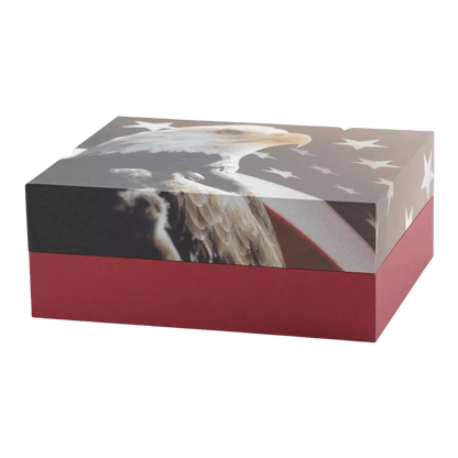 Explorer Scattering Urn - Freedom Large Adult Urn