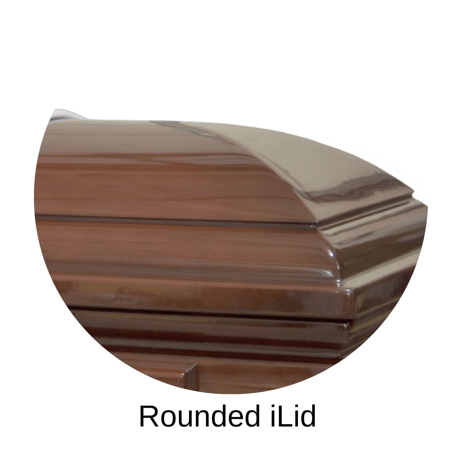 Rounded Lid of Braeburn (Poplar) series Wood casket