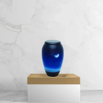 Hand Painted Urns - Starry Nights