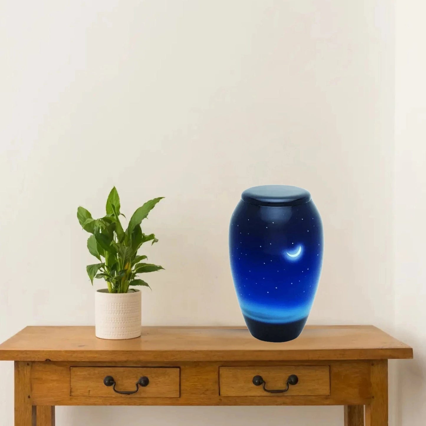 Hand Painted Urns - Starry Nights