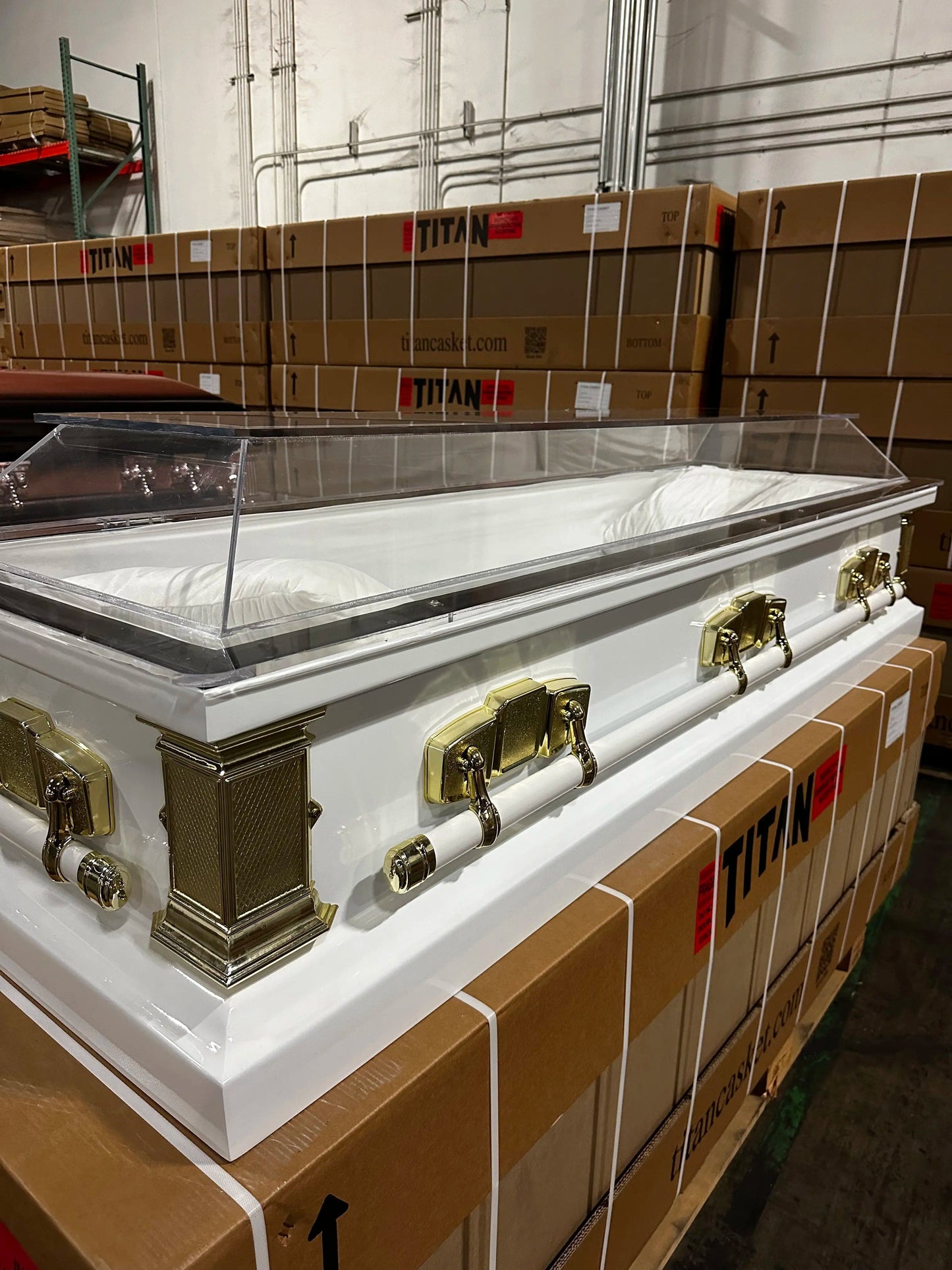 Only $2,999 - Titan Clear Top Casket - See Through Casket – Titan Casket