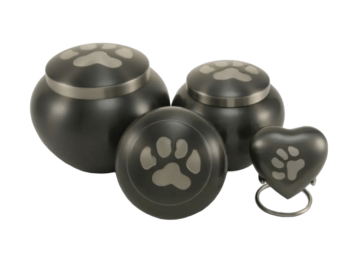 Odyssey® Paw Slate Pet Urn