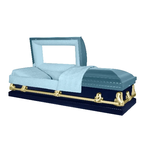 Design Your Own Custom-Made Casket - Customer's Product with price 1848.00 ID _xDe-ZrgwtrV47wn-_4QrDQk
