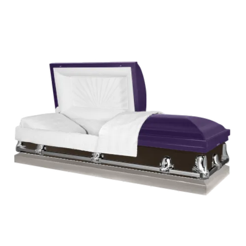 Design Your Own Custom-Made Casket - Customer's Product with price 1599.00 ID Zl_whTu4IrvvnqaWGWwsUqFC