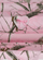 Pink Camo