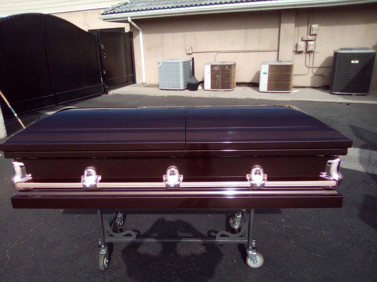 Orion Series | Bronze Steel Casket with Rosetan Interior