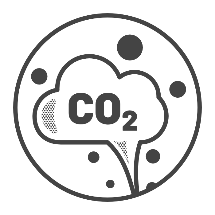 Plant 10 Additional Trees | 125 kg CO₂ estimated annual sequestration