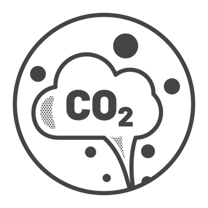 Plant 100 Additional Trees | 1,250 kg CO₂ estimated annual sequestration