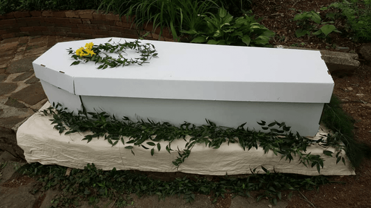 Cardboard Coffin 