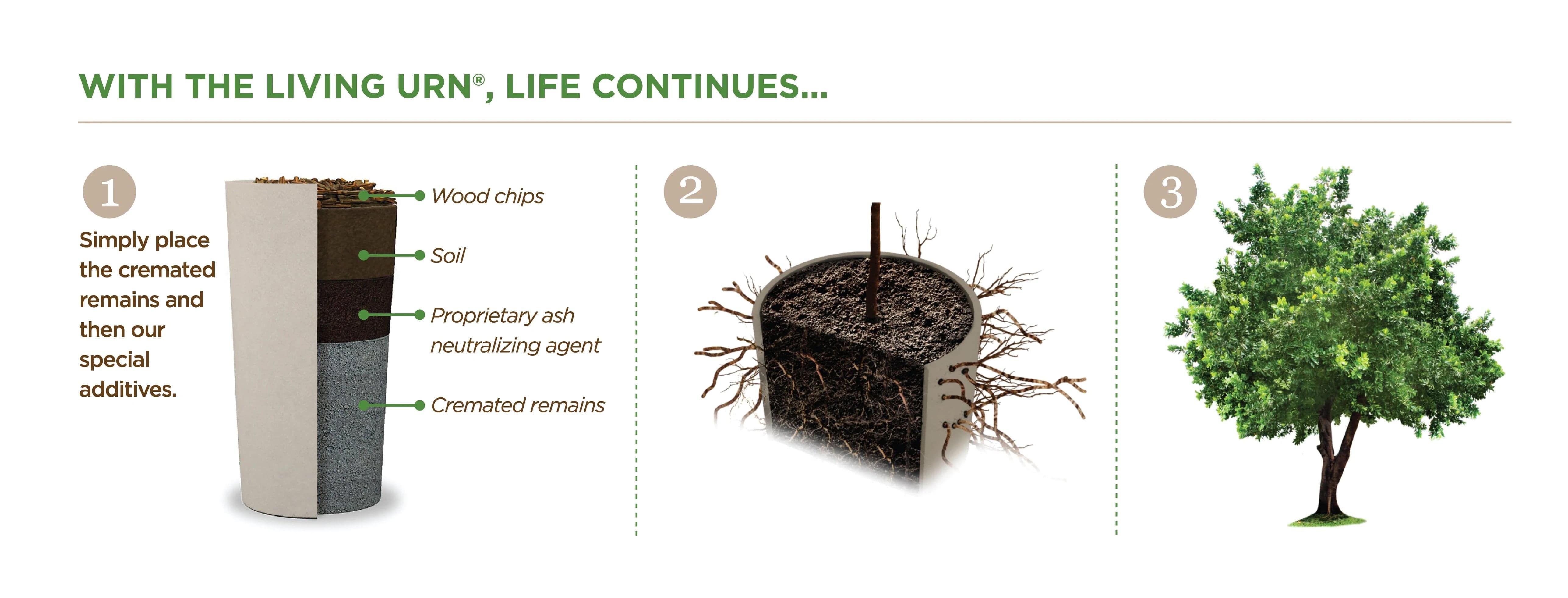 Bury Tree Eco Friendly Pet Tree Urn - The Living Urn | Become a Tree after Death ...