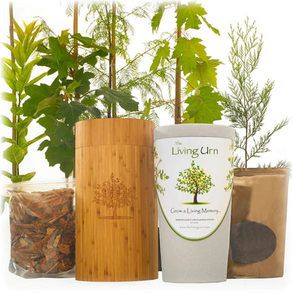 Living Tree Pet Urn | The Living Urn