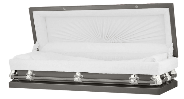 p3_grande.png?v=1678209519